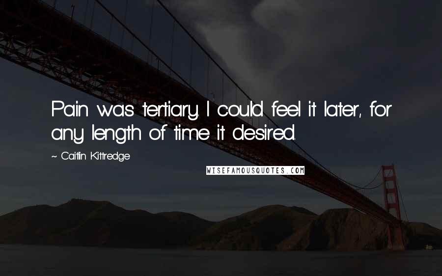 Caitlin Kittredge Quotes: Pain was tertiary. I could feel it later, for any length of time it desired.