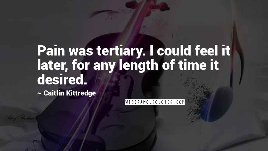 Caitlin Kittredge Quotes: Pain was tertiary. I could feel it later, for any length of time it desired.