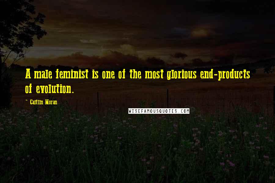 Caitlin Moran Quotes: A male feminist is one of the most glorious end-products of evolution.