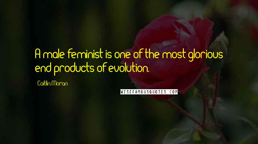 Caitlin Moran Quotes: A male feminist is one of the most glorious end-products of evolution.