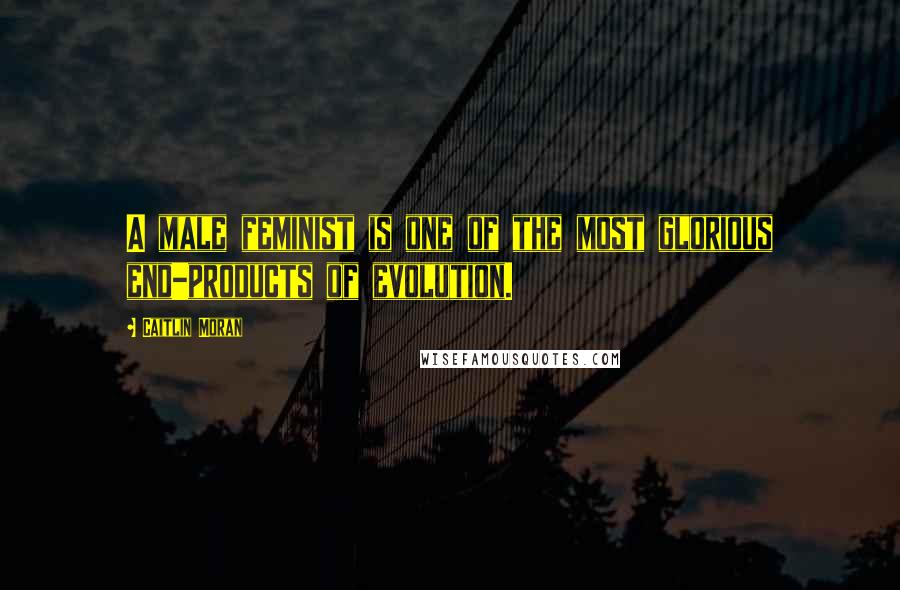 Caitlin Moran Quotes: A male feminist is one of the most glorious end-products of evolution.