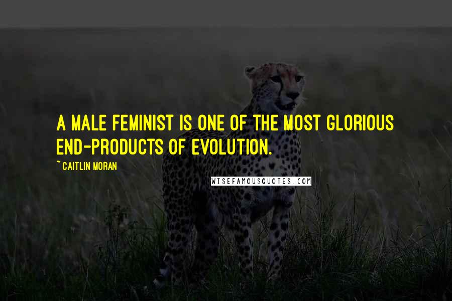 Caitlin Moran Quotes: A male feminist is one of the most glorious end-products of evolution.