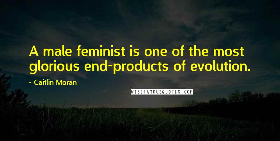 Caitlin Moran Quotes: A male feminist is one of the most glorious end-products of evolution.