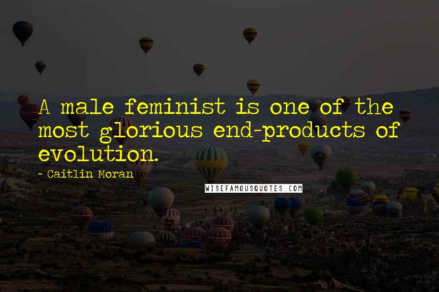 Caitlin Moran Quotes: A male feminist is one of the most glorious end-products of evolution.