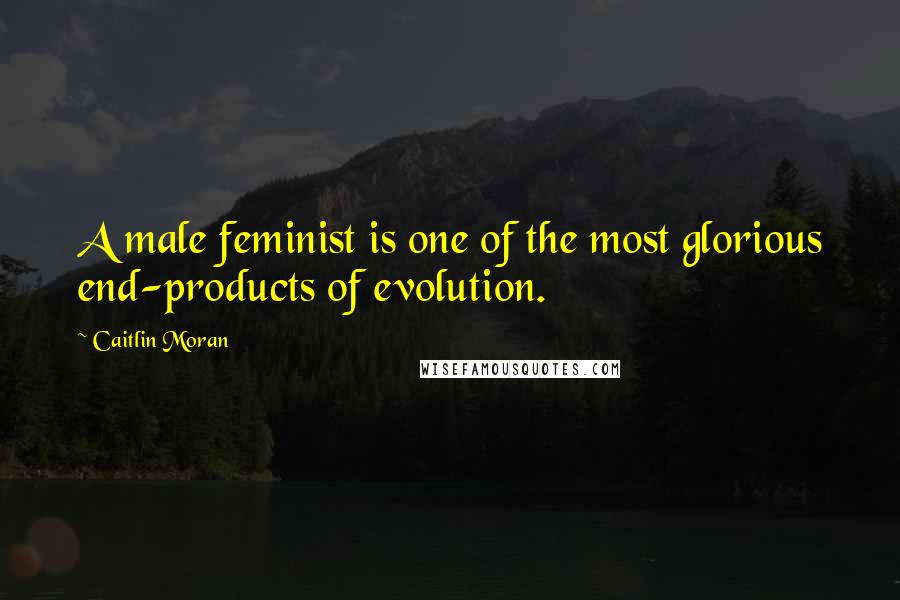 Caitlin Moran Quotes: A male feminist is one of the most glorious end-products of evolution.