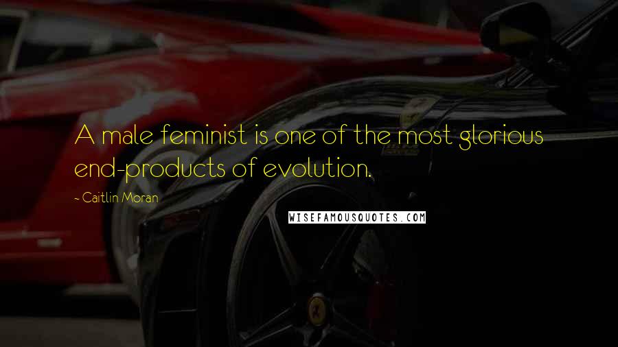 Caitlin Moran Quotes: A male feminist is one of the most glorious end-products of evolution.