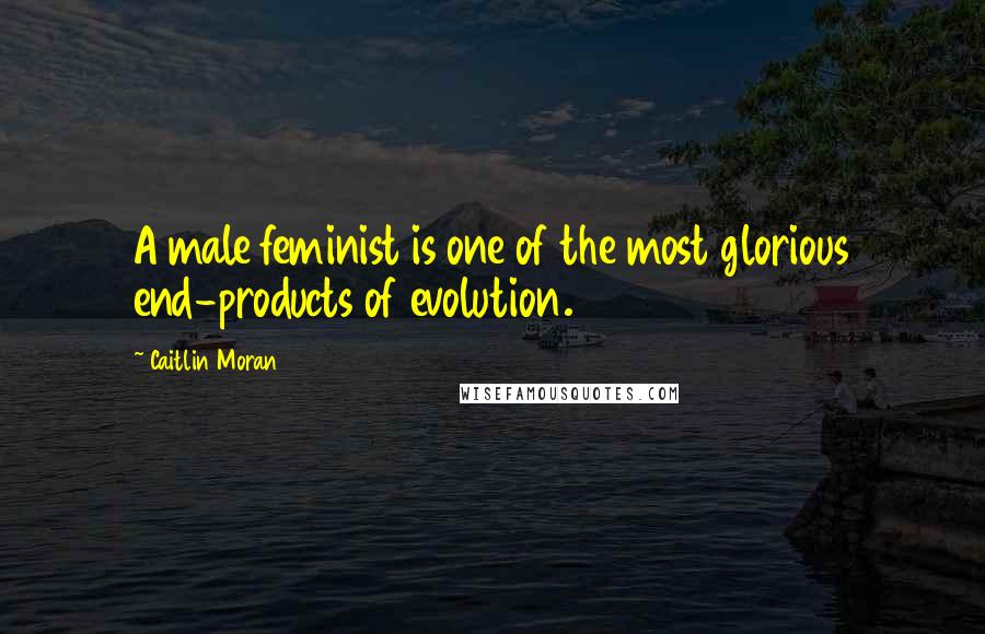 Caitlin Moran Quotes: A male feminist is one of the most glorious end-products of evolution.