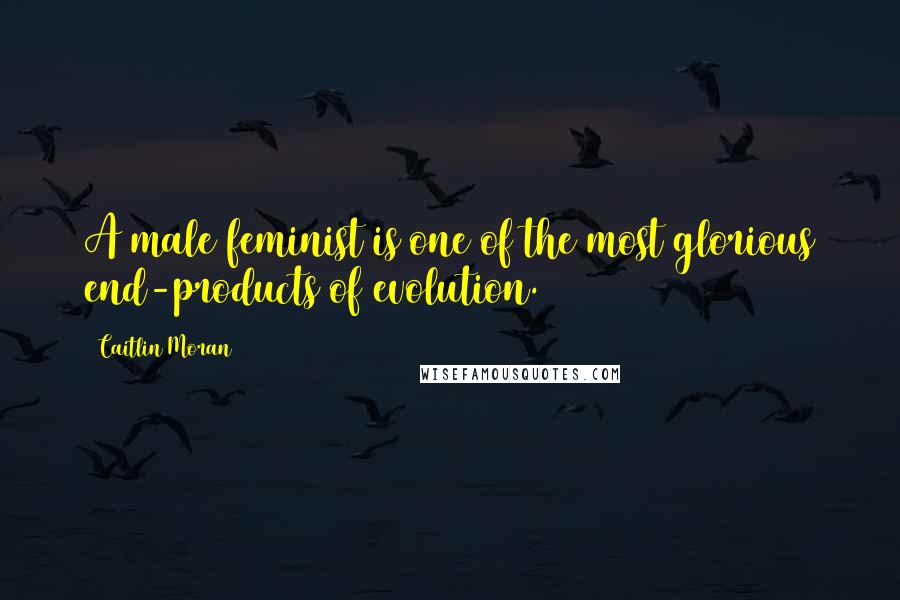 Caitlin Moran Quotes: A male feminist is one of the most glorious end-products of evolution.