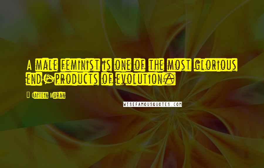 Caitlin Moran Quotes: A male feminist is one of the most glorious end-products of evolution.