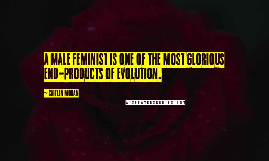 Caitlin Moran Quotes: A male feminist is one of the most glorious end-products of evolution.