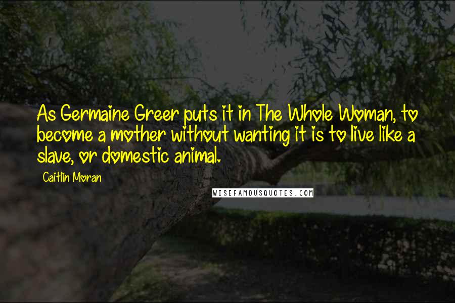 Caitlin Moran Quotes: As Germaine Greer puts it in The Whole Woman, to become a mother without wanting it is to live like a slave, or domestic animal.