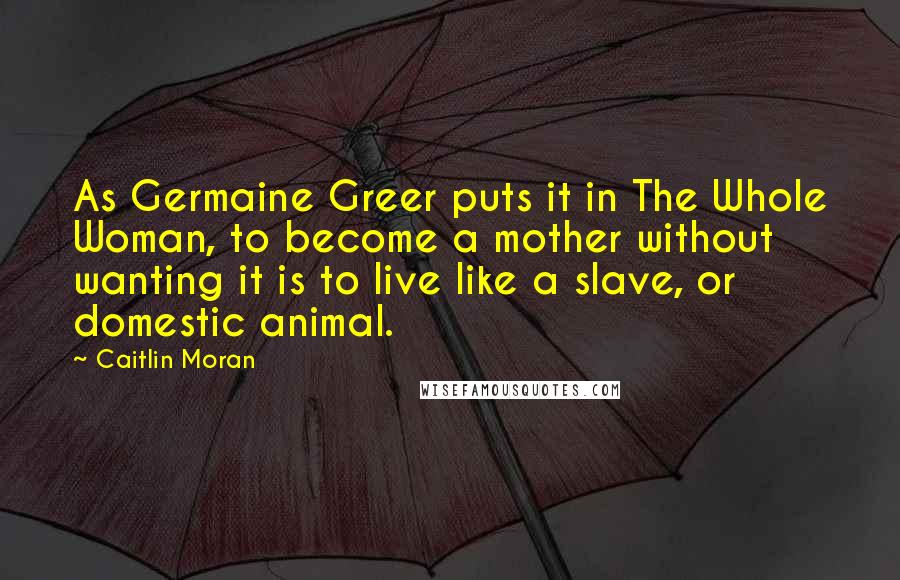 Caitlin Moran Quotes: As Germaine Greer puts it in The Whole Woman, to become a mother without wanting it is to live like a slave, or domestic animal.