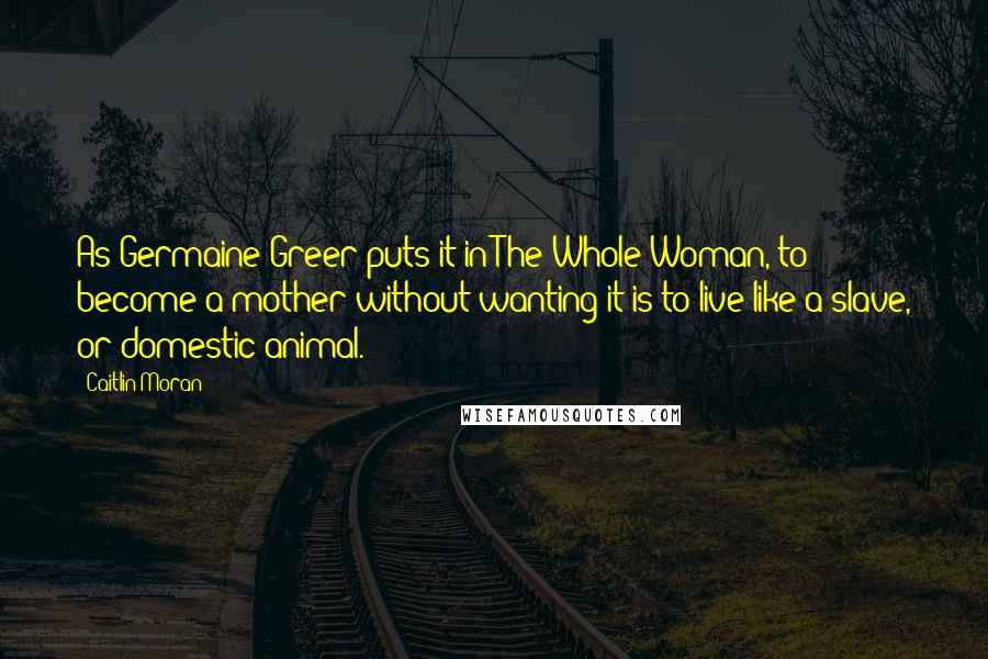 Caitlin Moran Quotes: As Germaine Greer puts it in The Whole Woman, to become a mother without wanting it is to live like a slave, or domestic animal.