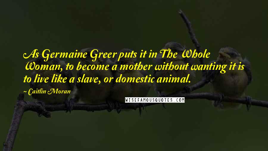 Caitlin Moran Quotes: As Germaine Greer puts it in The Whole Woman, to become a mother without wanting it is to live like a slave, or domestic animal.