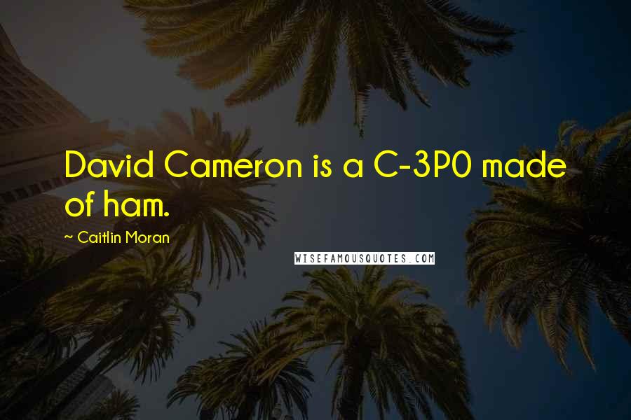 Caitlin Moran Quotes: David Cameron is a C-3P0 made of ham.