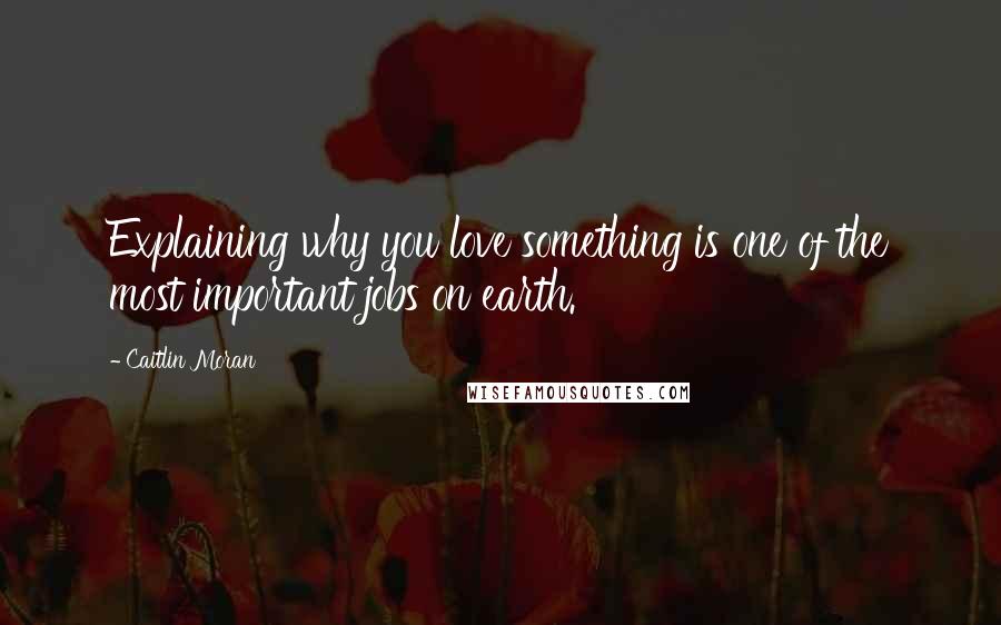 Caitlin Moran Quotes: Explaining why you love something is one of the most important jobs on earth.