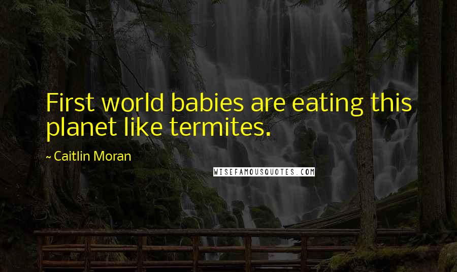 Caitlin Moran Quotes: First world babies are eating this planet like termites.