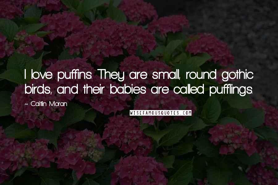 Caitlin Moran Quotes: I love puffins. They are small, round gothic birds, and their babies are called pufflings.