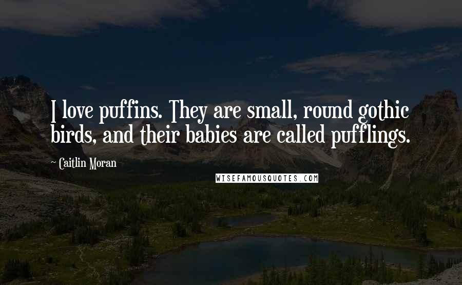 Caitlin Moran Quotes: I love puffins. They are small, round gothic birds, and their babies are called pufflings.