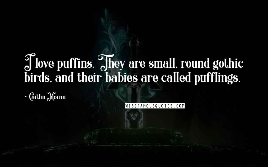 Caitlin Moran Quotes: I love puffins. They are small, round gothic birds, and their babies are called pufflings.