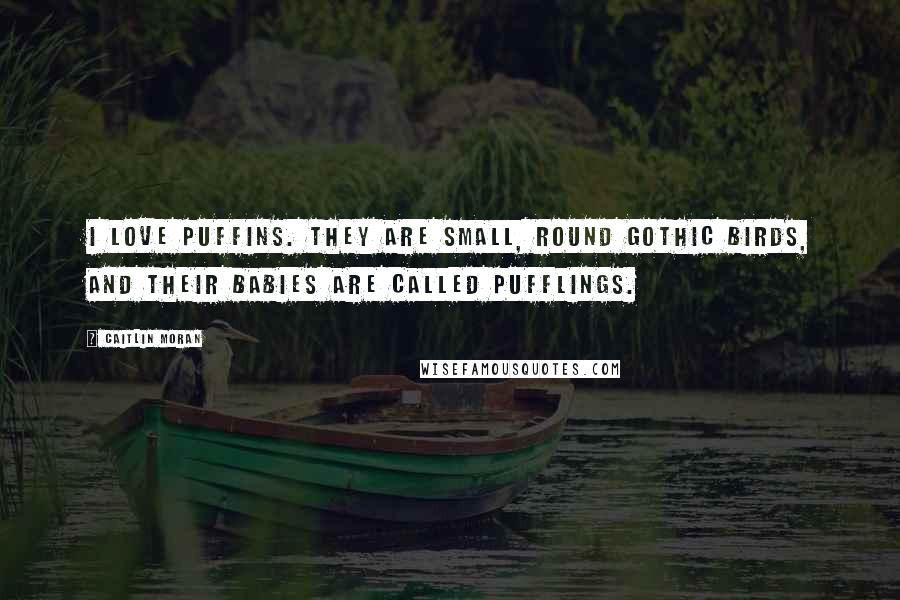 Caitlin Moran Quotes: I love puffins. They are small, round gothic birds, and their babies are called pufflings.