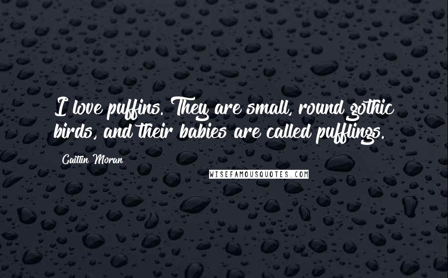 Caitlin Moran Quotes: I love puffins. They are small, round gothic birds, and their babies are called pufflings.