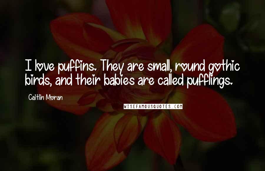 Caitlin Moran Quotes: I love puffins. They are small, round gothic birds, and their babies are called pufflings.