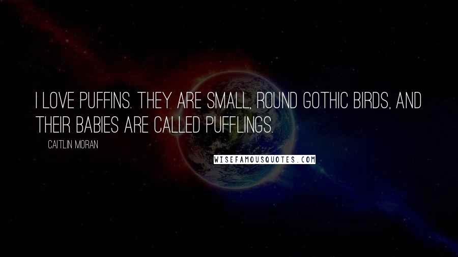 Caitlin Moran Quotes: I love puffins. They are small, round gothic birds, and their babies are called pufflings.