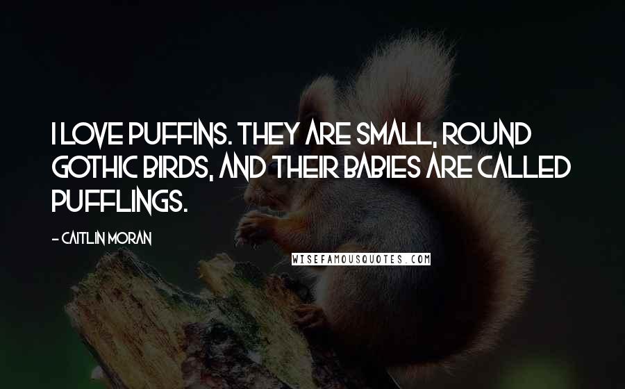 Caitlin Moran Quotes: I love puffins. They are small, round gothic birds, and their babies are called pufflings.