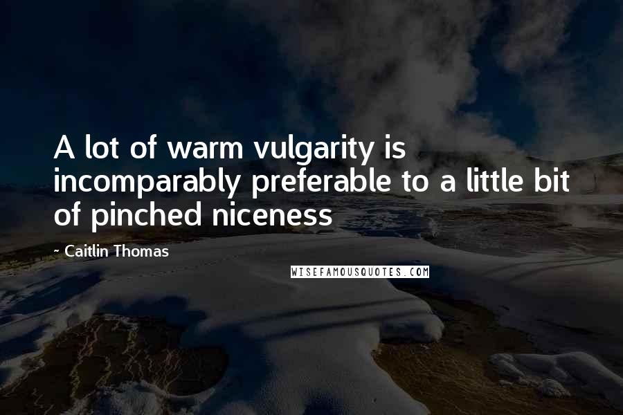 Caitlin Thomas Quotes: A lot of warm vulgarity is incomparably preferable to a little bit of pinched niceness