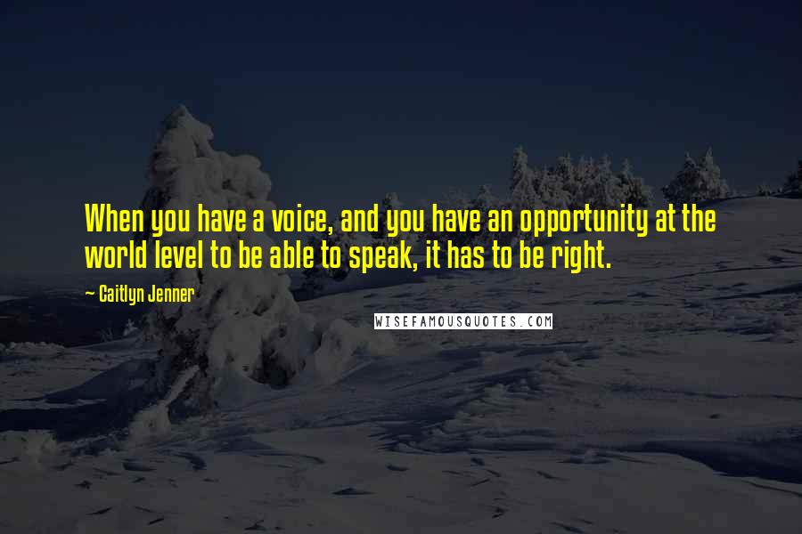 Caitlyn Jenner Quotes: When you have a voice, and you have an opportunity at the world level to be able to speak, it has to be right.