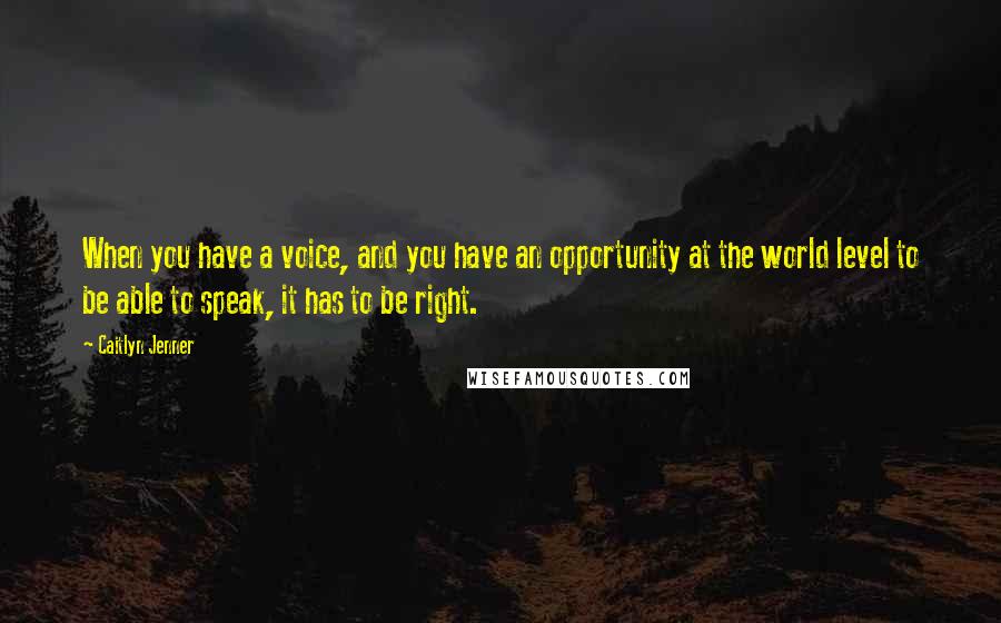 Caitlyn Jenner Quotes: When you have a voice, and you have an opportunity at the world level to be able to speak, it has to be right.