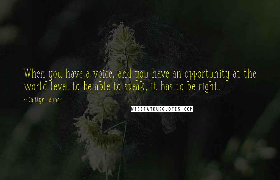 Caitlyn Jenner Quotes: When you have a voice, and you have an opportunity at the world level to be able to speak, it has to be right.