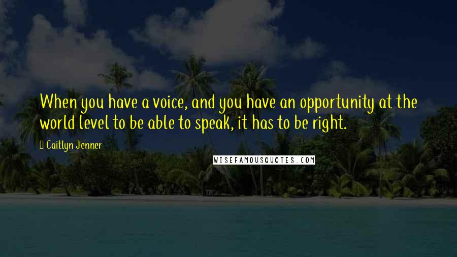 Caitlyn Jenner Quotes: When you have a voice, and you have an opportunity at the world level to be able to speak, it has to be right.