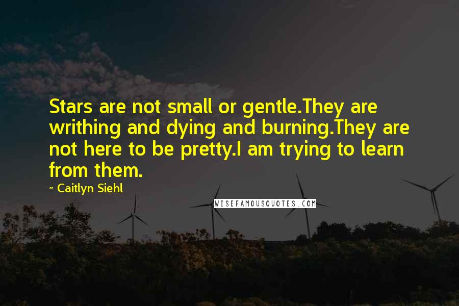 Caitlyn Siehl Quotes: Stars are not small or gentle.They are writhing and dying and burning.They are not here to be pretty.I am trying to learn from them.