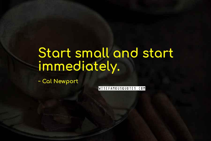 Cal Newport Quotes: Start small and start immediately.