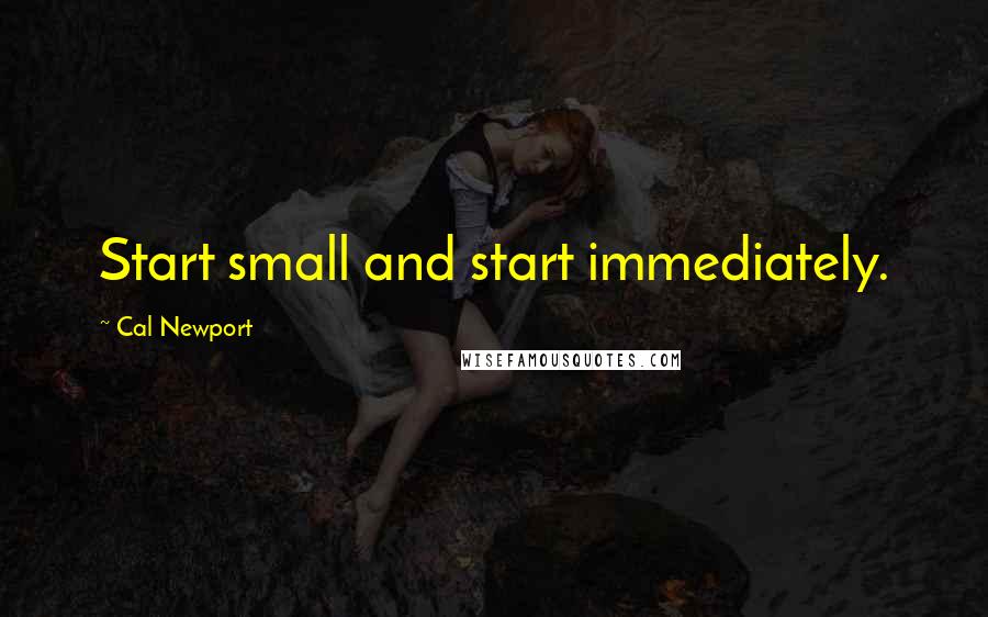 Cal Newport Quotes: Start small and start immediately.