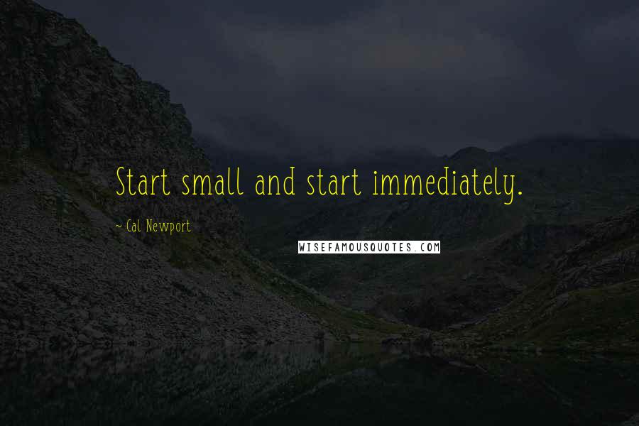 Cal Newport Quotes: Start small and start immediately.