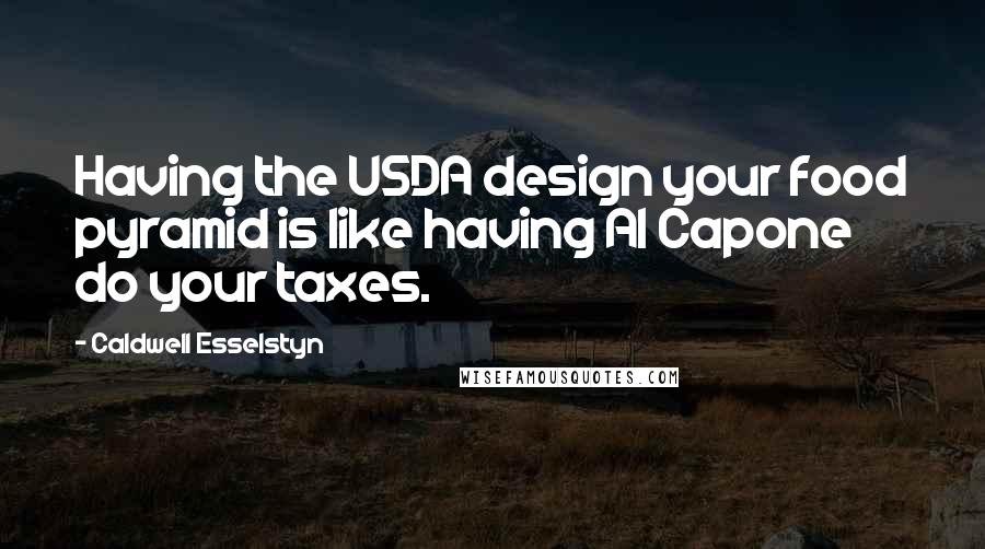 Caldwell Esselstyn Quotes: Having the USDA design your food pyramid is like having Al Capone do your taxes.