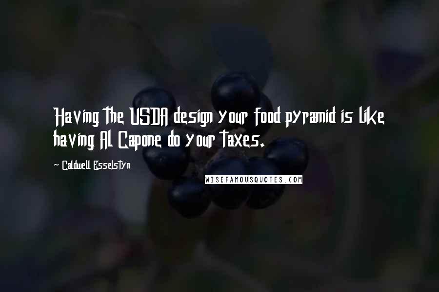 Caldwell Esselstyn Quotes: Having the USDA design your food pyramid is like having Al Capone do your taxes.