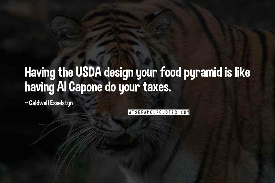 Caldwell Esselstyn Quotes: Having the USDA design your food pyramid is like having Al Capone do your taxes.
