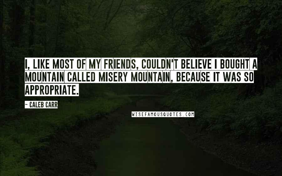 Caleb Carr Quotes: I, like most of my friends, couldn't believe I bought a mountain called Misery Mountain, because it was so appropriate.