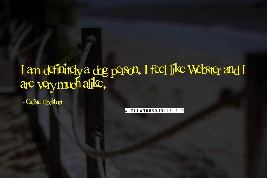 Calista Flockhart Quotes: I am definitely a dog person. I feel like Webster and I are very much alike.