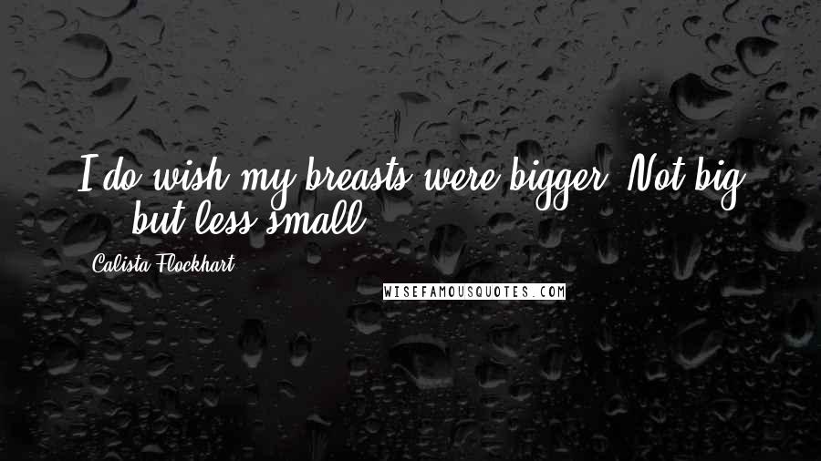 Calista Flockhart Quotes: I do wish my breasts were bigger. Not big ... but less small.