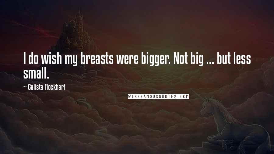 Calista Flockhart Quotes: I do wish my breasts were bigger. Not big ... but less small.