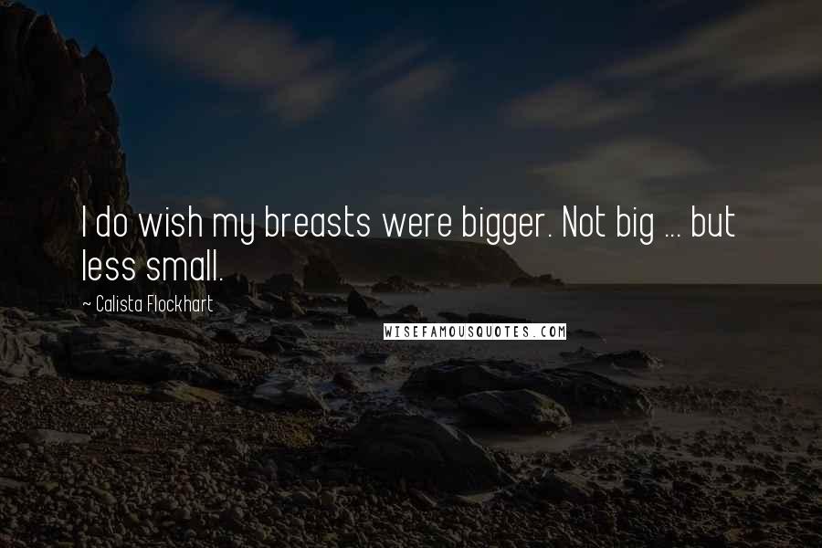 Calista Flockhart Quotes: I do wish my breasts were bigger. Not big ... but less small.