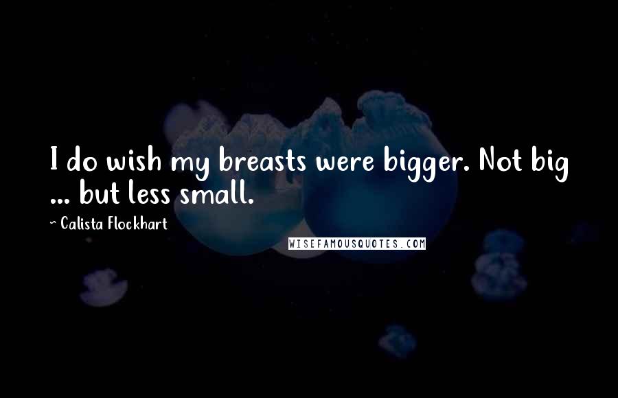 Calista Flockhart Quotes: I do wish my breasts were bigger. Not big ... but less small.