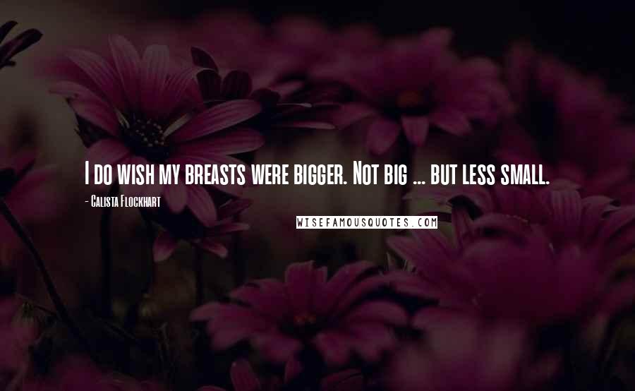 Calista Flockhart Quotes: I do wish my breasts were bigger. Not big ... but less small.