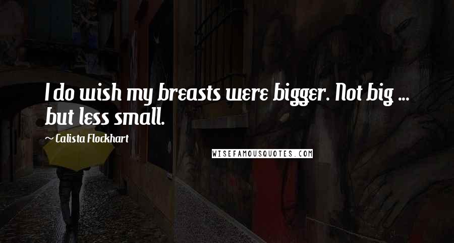 Calista Flockhart Quotes: I do wish my breasts were bigger. Not big ... but less small.