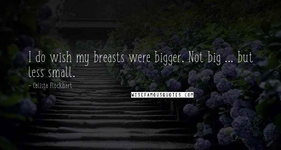 Calista Flockhart Quotes: I do wish my breasts were bigger. Not big ... but less small.